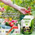 Go Garden 100 ml Water Soluble Neem Oil for Plant Pest Control + 800 Gram Epsom Salt Magnesium Sulphate for Plant Combo