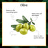 Good Vibes Skin Nourishing Makeup Cleansing Lotion - Olive