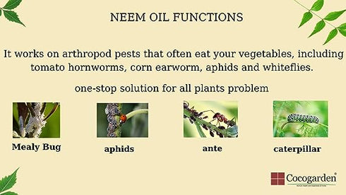 Cocogarden Pure Cold Pressed Neem Oil