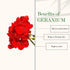 Good Vibes Rose & Geranium Age Defying Sleeping Mask