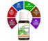 Naturoman Spearmint Pure and Natural Essential Oil bottle of 100 ml Oil