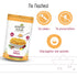 Deep Forest Raw Honey