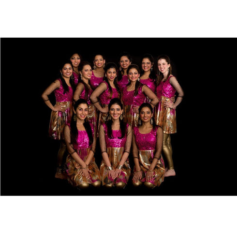 Pink And Gold Fancy Dance Costume