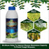 Green Global Crop Science Organic Water soluble Neem oil