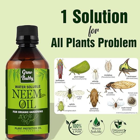 GROWBUDDY Cold Pressed Pure Neem Oil 200ml