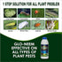 Green Global Crop Science Organic Water soluble Neem oil