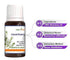 Naturoman Rosemary Pure and Natural Essential Oil bottle of 100 ml Oil