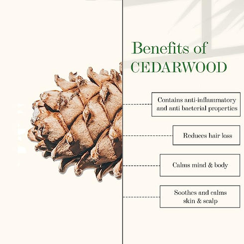 Good Vibes 100% Pure Cedarwood Essential Oil 10ml