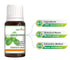 Naturoman Spearmint Pure and Natural Essential Oil bottle of 30 ml Oil