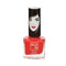 Elle 18 Nail Pops Nail Polish | Pack Of 25ml Each
