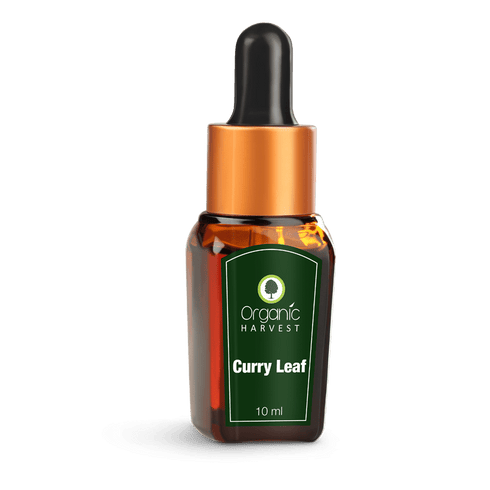 Organic Harvest Curry Leaf Essential Oil
