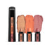 Renee Fab Face 3 in 1 Make-up Stick 4.5GM