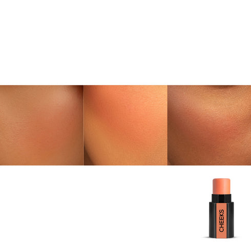 Renee Fab Face 3 in 1 Make-up Stick 4.5GM