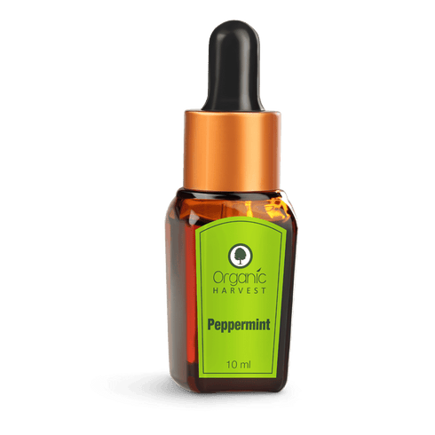 Organic Harvest Pepper Mint Essential Oil