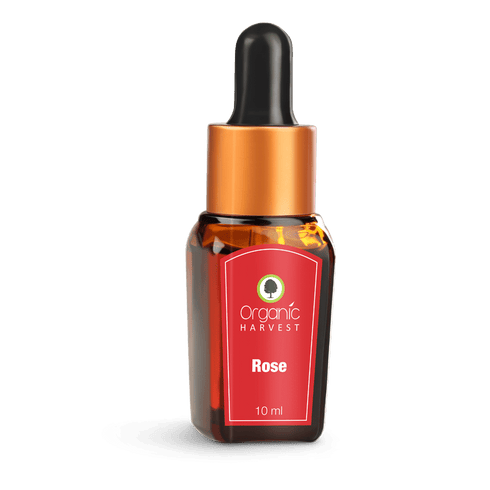 Organic Harvest Rose Essential Oil