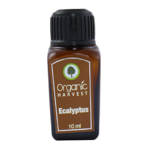Organic Harvest Eucalyptus Essential Oil