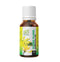 Ae Naturals Ylang Ylang Essential Oil 30 ml