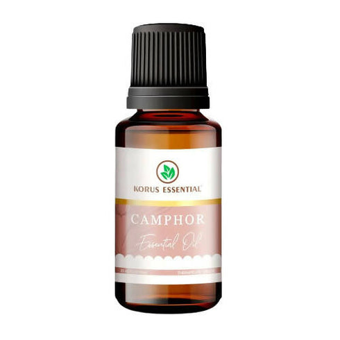 Korus Essential Camphor Essential Oil | Therapeutic Grade