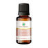Korus Essential Camphor Essential Oil | Therapeutic Grade