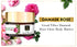 Good Vibes Damask Rose Glow Body Butter 100g