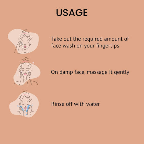 Alps Goodness Cinnamon Salicylic Acid and Hyaluronic Acid Facewash