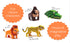 BOX SET of 12 DIY Mini Endangered Animals Paper Craft Kits