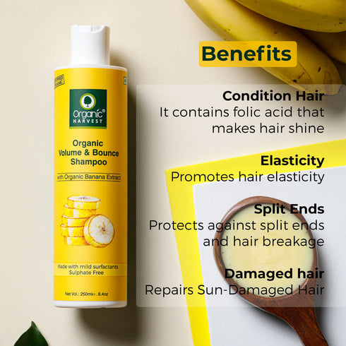 Organic Harvest Organic Volume & Bounce Shampoo With Organic Banana Extract