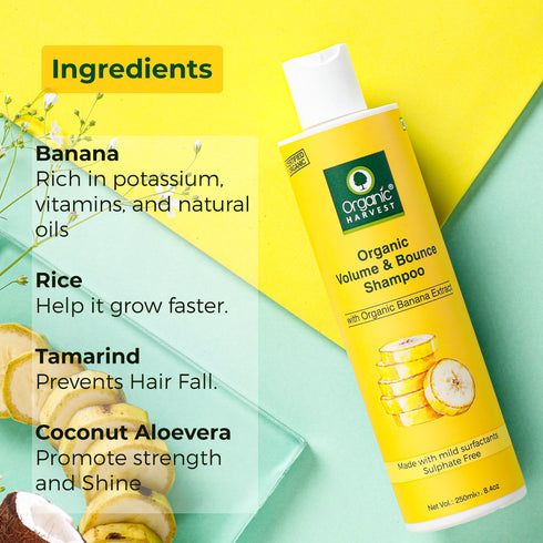 Organic Harvest Organic Volume & Bounce Shampoo With Organic Banana Extract