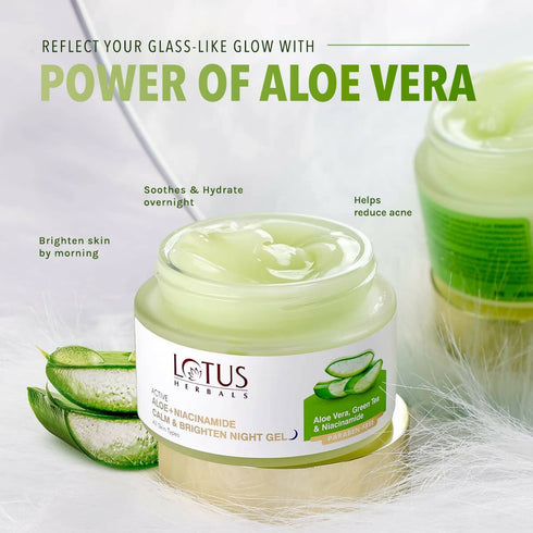 Lotus Herbals Active Aloe + Niacinamide Calm And Brighten Night Gel