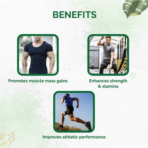 Dr. Vaidya's Herbobuild DS |Double Strength Tablets