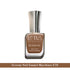 Lotus Ecostay Pack Of 8 Coffee Shades