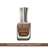 Lotus Ecostay Pack Of 8 Coffee Shades