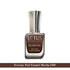 Lotus Ecostay Pack Of 8 Coffee Shades