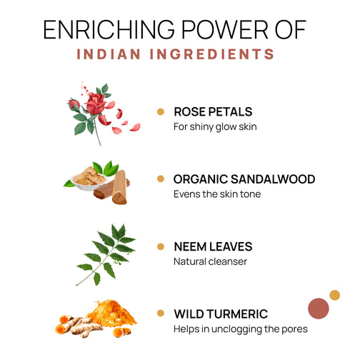 The Tribe Concepts Face Brightening Daily Cleanser