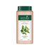 Biotique Bio Henna Leaf Fresh Texture Shampoo and Conditioner 100g