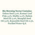 Biotique Bio Morning Nectar Visibly Flawless Skin Moisturizer 120g