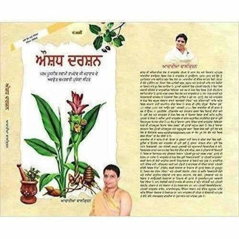 Patanjali Aushadh Darshan | ( Punjabi Edition) Baba Ramdev