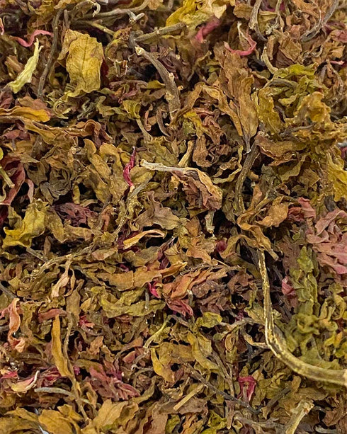 Raw Green Banana Powder (Healthy Alternative to Flours)