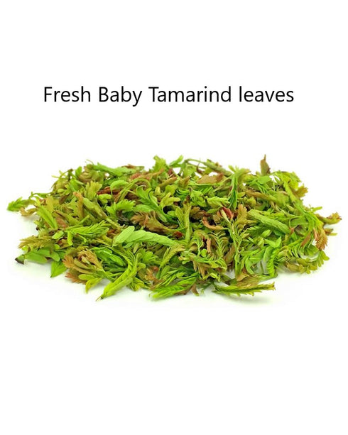 Raw Green Banana Powder (Healthy Alternative to Flours)