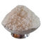 Coconut Powder | Kobbari Powder