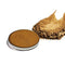 Glamgals Hollywood-U.S.A Diamond Eyeshadow Earth Brown