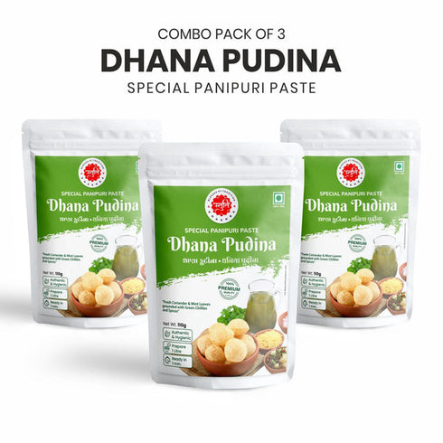 Stuti Khakhra Dhana Pudina Panipuri Paste
