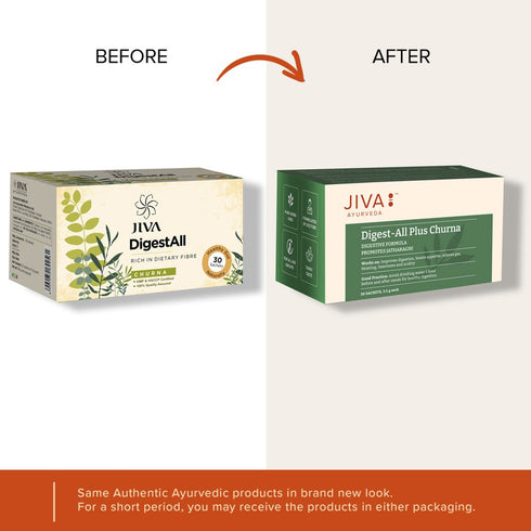 Jiva Ayurveda Digestall Churna