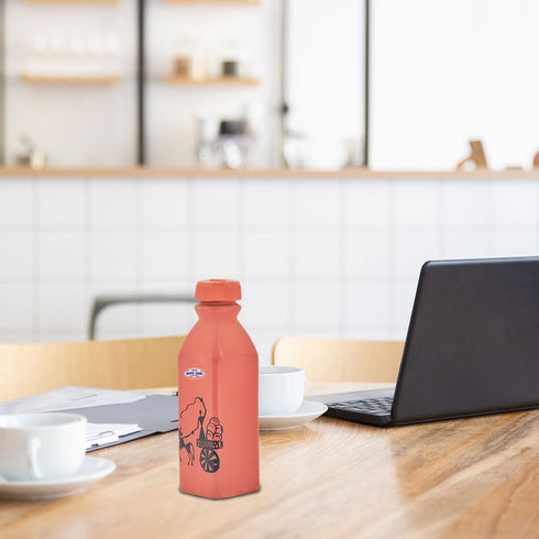 Mitticool Clay Water Bottle Warli Cart Design 400 ml