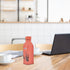 Mitticool Clay Water Bottle Warli Cart Design 400 ml