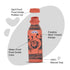 Mitticool Clay Water Bottle Warli Timpany Design 400 ml