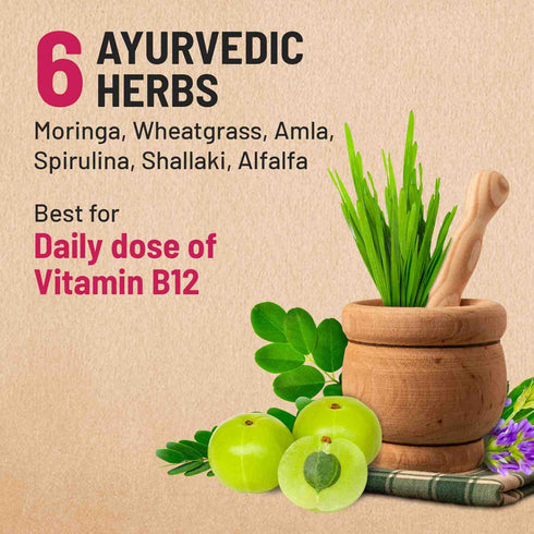 Gynoveda Ayurvedic Vitamin B-12 Capsules