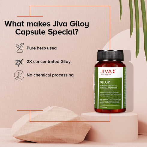 Jiva Ayurveda Giloy Capsules