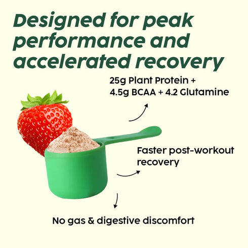 PLIX The Plant Fix Evolve Plant Protein Shake Powder Mixed Berry
