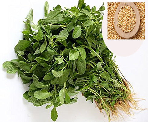 Amaranthus Seeds